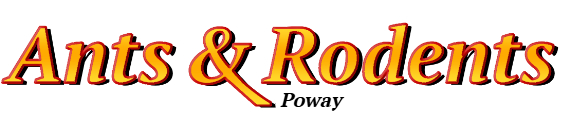 Poway Ant Exterminator & Rodent Control Company Logo